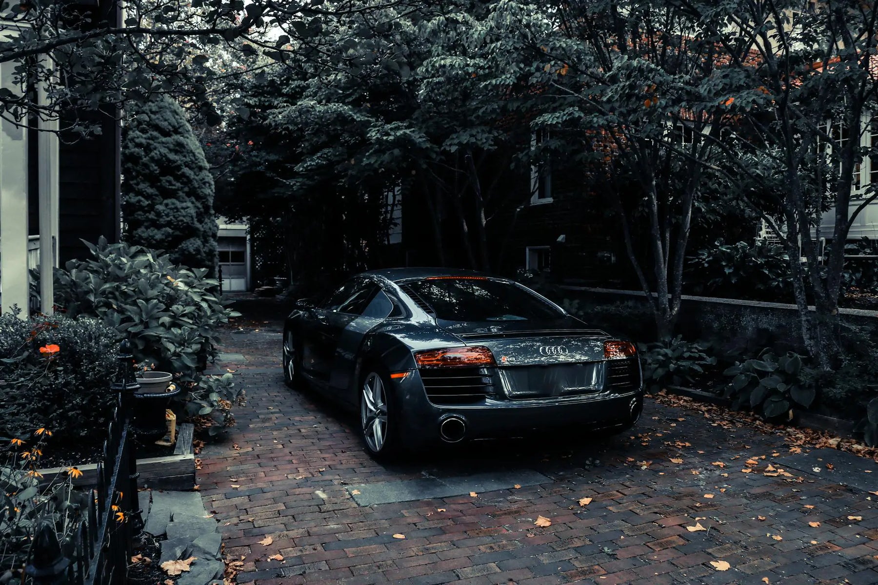 More and More Audi Owners Are Converting Factory Suspension to Coilovers