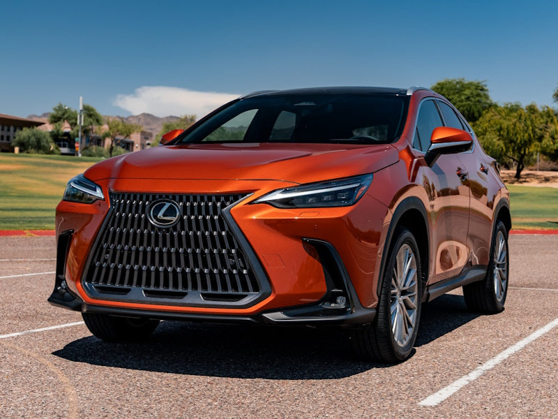 2014-2024 - LEXUS NX Plug-in Hybrid AWD (Swift Rear Only) - BC Racing Coilovers