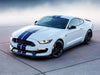 2015-2021 FORD Mustang Fits Gt Excl Magneride Bc Racing Coilovers