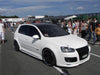 2010-2014 VW Golf Tdi Kw Coilovers