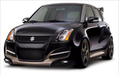 2005-2012 SUZUKI Swift Sport Bc Racing Coilovers